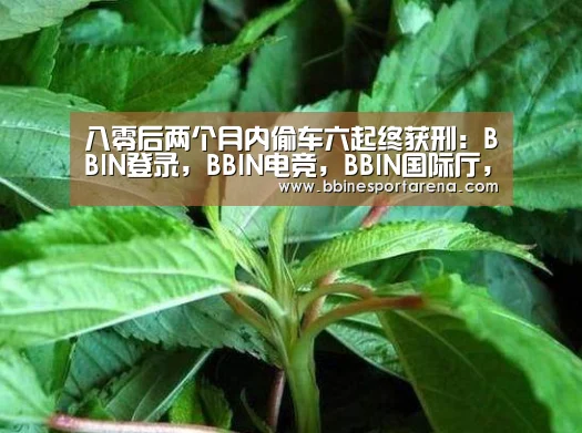 八零后两个月内偷车六起终获刑:BBIN登录,BBIN电竞,BBIN国际厅,BBIN直播(图1) BBIN登录,BBIN电竞,BBIN国际厅,BBIN直播