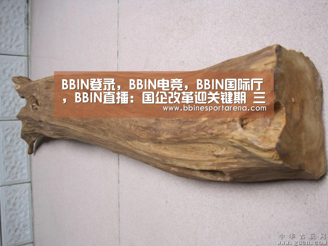 BBIN登录，BBIN电竞，BBIN国际厅，BBIN直播