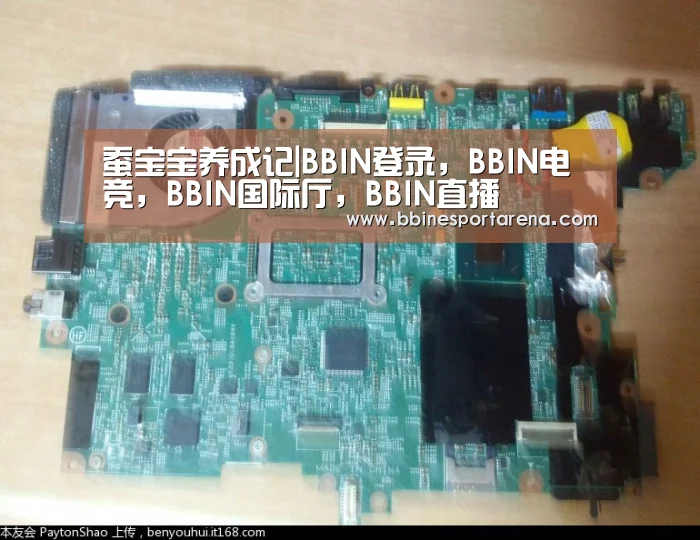 蚕宝宝养成记|BBIN登录,BBIN电竞,BBIN国际厅,BBIN直播(图2) BBIN登录,BBIN电竞,BBIN国际厅,BBIN直播